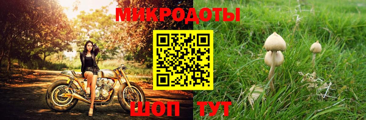 Псилоцибиновые грибы Psilocybine cubensis  Вход с VPN  Острогожск 